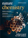 Nature Chemistry杂志封面